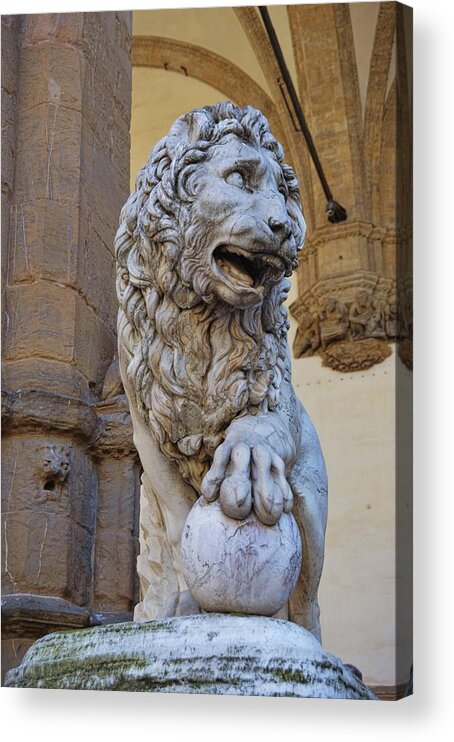 Firenze Acrylic Print featuring the photograph Vacca's Lion by JAMART Photography