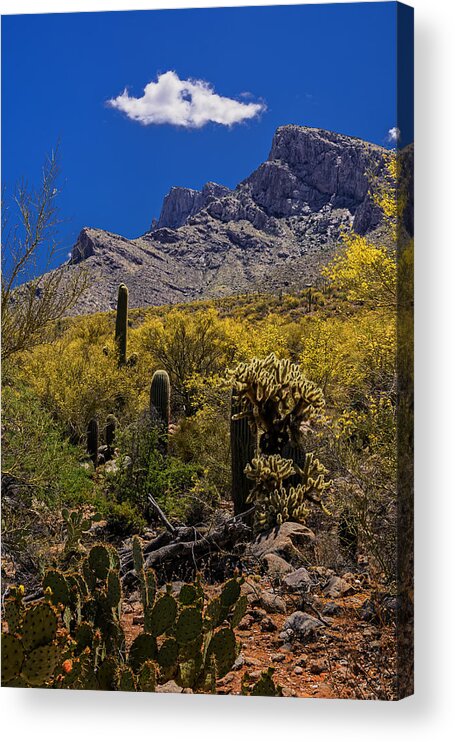 Design Acrylic Print featuring the photograph Valley View No.2 by Mark Myhaver