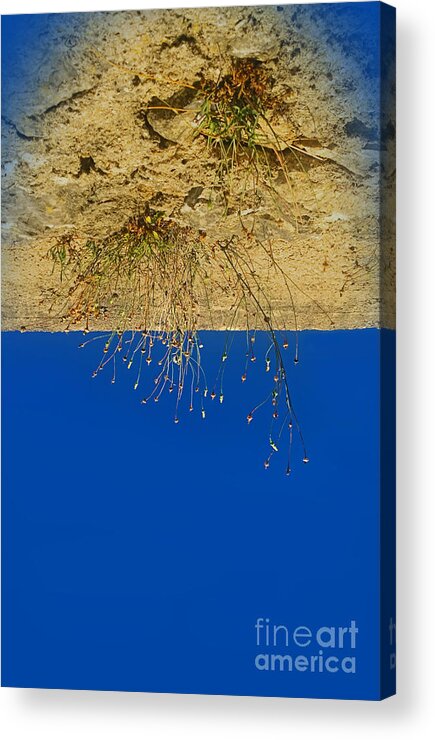 Deep Blue Sky Acrylic Print featuring the photograph Vertigo II by Jasna Buncic