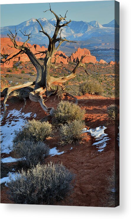 Arches National Park Acrylic Print featuring the photograph View along Park Road in Arches National Park by Ray Mathis