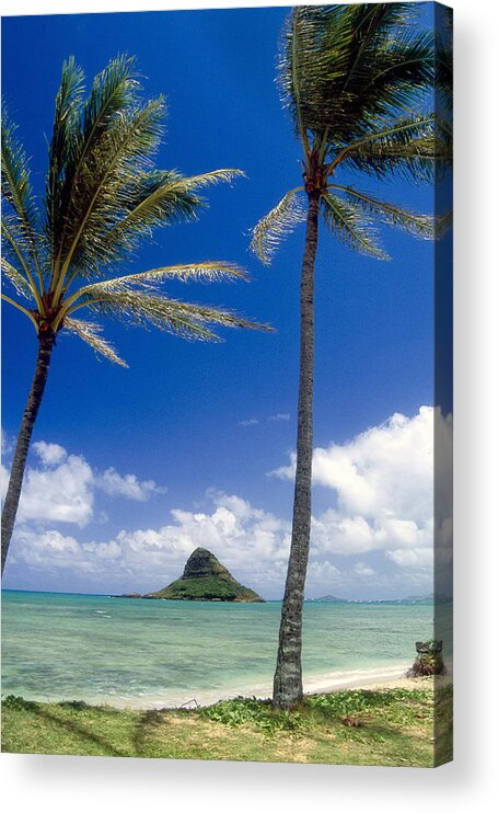 Breezy Acrylic Print featuring the photograph View of a Bay with Palm Trees Kaneohe Bay Oahu Hawaii by George Oze