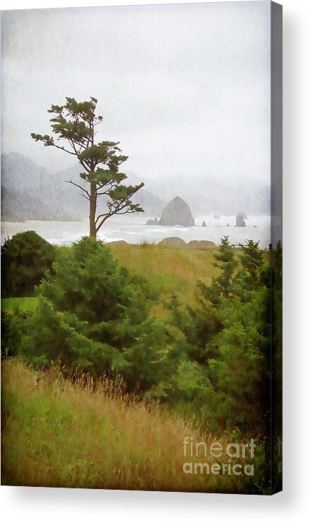 Cannon Beach Acrylic Print featuring the photograph View of Cannon Beach in the fog by Maria Janicki