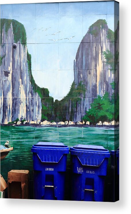 Mural Acrylic Print featuring the photograph Vista by Kreddible Trout