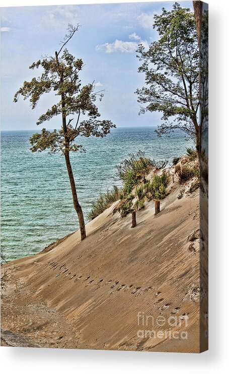 Sand Acrylic Print featuring the photograph Walking on the Edge by Cathy Beharriell