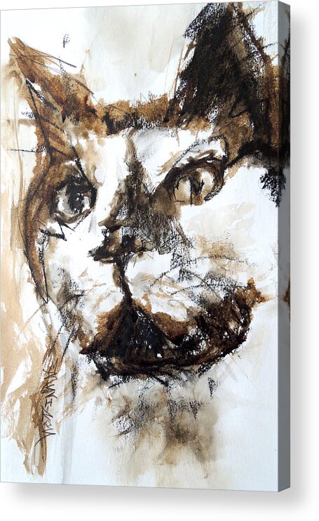 Schiros Acrylic Print featuring the mixed media Walnut and Charcoal by Mary Schiros