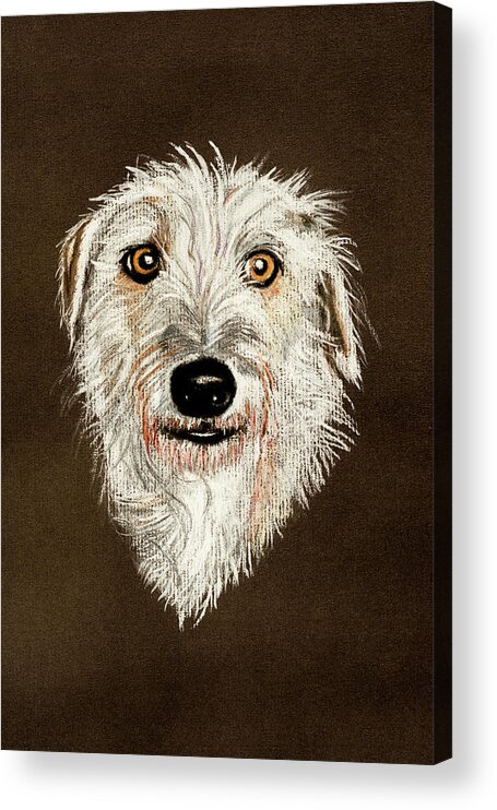 Dog Acrylic Print featuring the pastel Watching Eyes by Hazy Apple