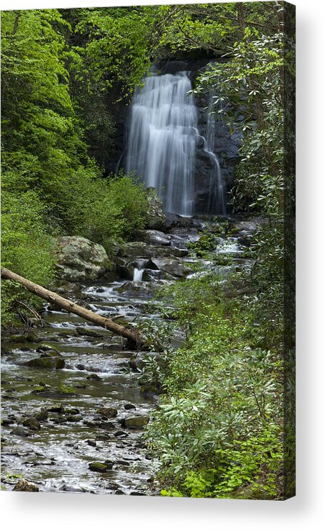 Smokies Acrylic Print featuring the photograph Waterfall 3702 by Peter Skiba