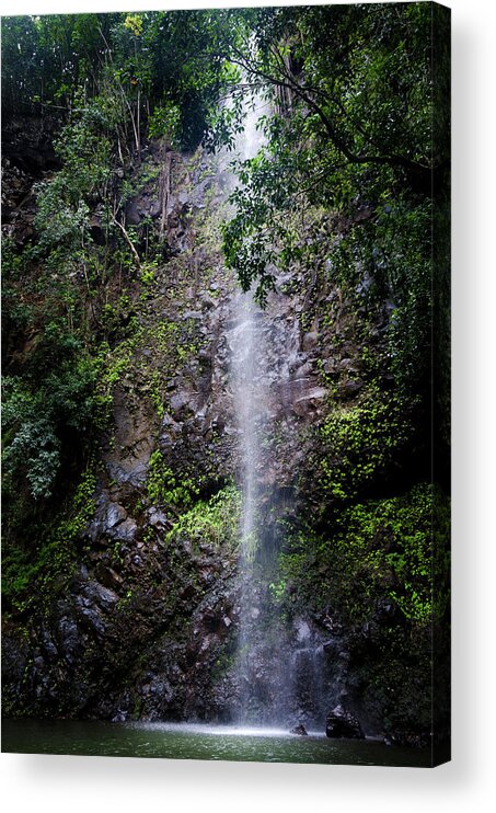 Waterfalls Acrylic Print featuring the photograph Waterfall by Daniel Murphy