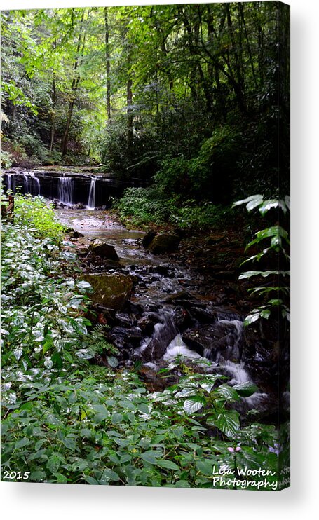Waterfall In The Woods Acrylic Print featuring the photograph Waterfall In The Woods by Lisa Wooten