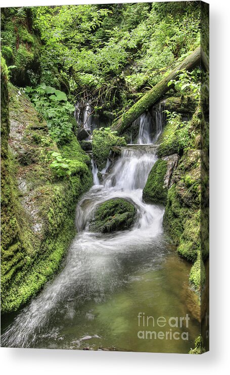 Waterfall Acrylic Print featuring the photograph Waterfalls and rapids on the White Opava stream by Michal Boubin