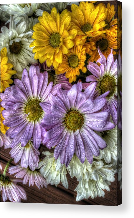 Daisies Acrylic Print featuring the photograph We Need To Be Together by Mike Eingle