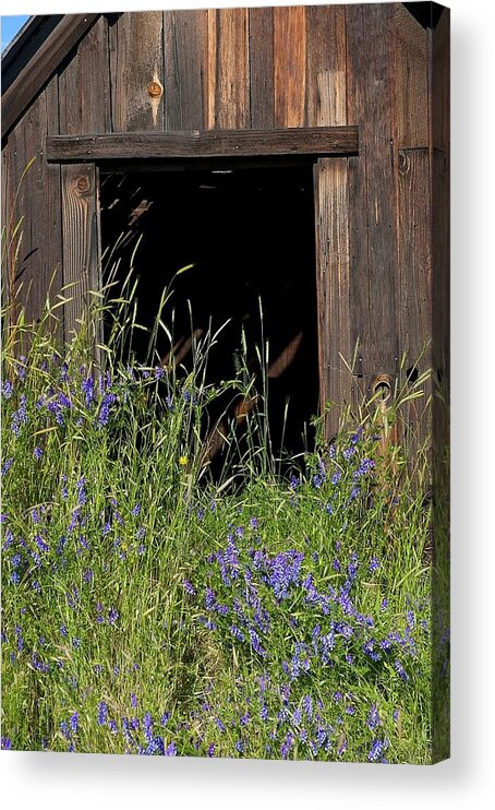 Cabin Acrylic Print featuring the photograph Welcome by Steve Warnstaff