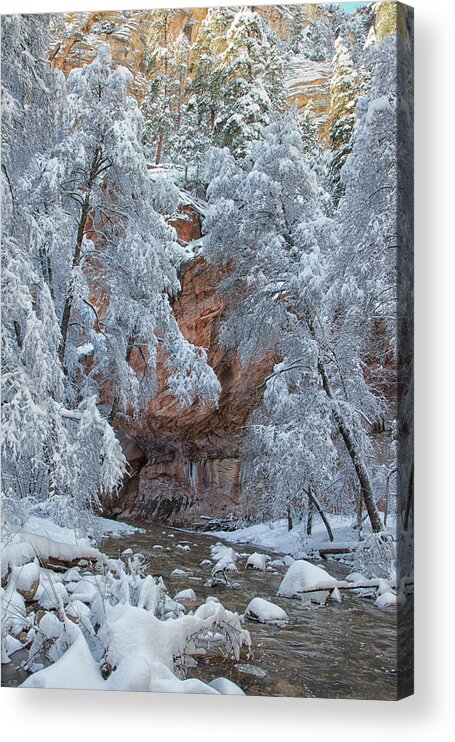 Westfork Trail Acrylic Print featuring the photograph Westfork Charms Me by Tom Kelly