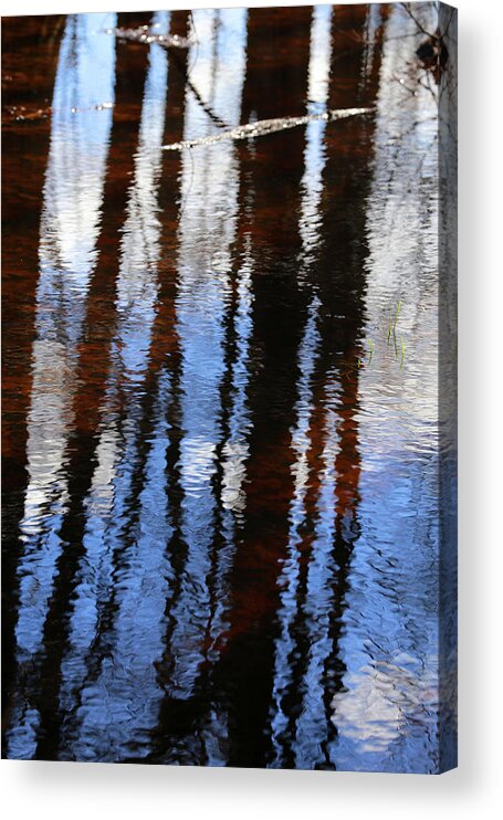 Wetland Acrylic Print featuring the photograph Wetland Reflections 200 by Mary Bedy