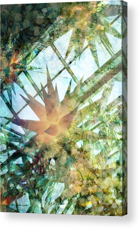 Christmas Acrylic Print featuring the photograph While Visions Of Sugar Plums Danced In Their Heads by Suzanne Powers