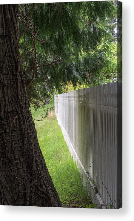 Oregon Coast Acrylic Print featuring the photograph White Fence And Tree by Tom Singleton