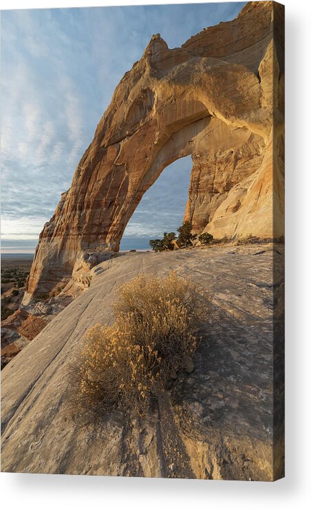 Arizona Acrylic Print featuring the photograph White Mesa Arch by Dustin LeFevre