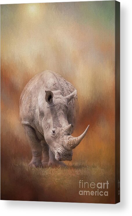 Rhinoceros Acrylic Print featuring the digital art White Rhinoceros In Summer Sun by Sharon McConnell