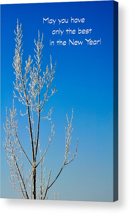 Season Acrylic Print featuring the photograph White Tree New Year Card by Jerry Sodorff