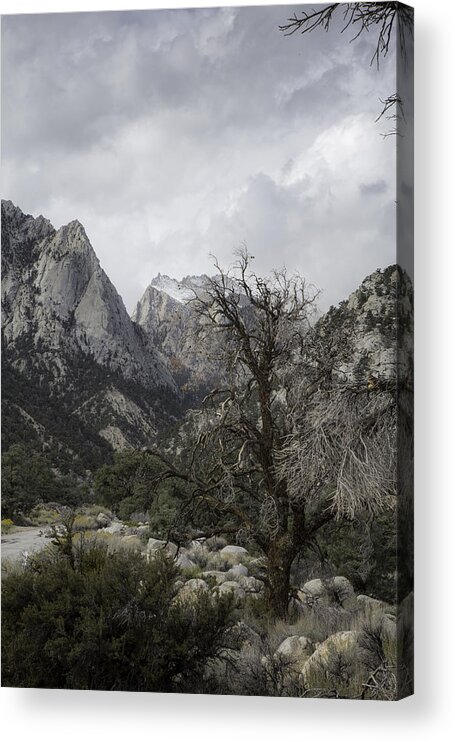 Mount Whitney Acrylic Print featuring the photograph Whitney Portal by Dusty Wynne