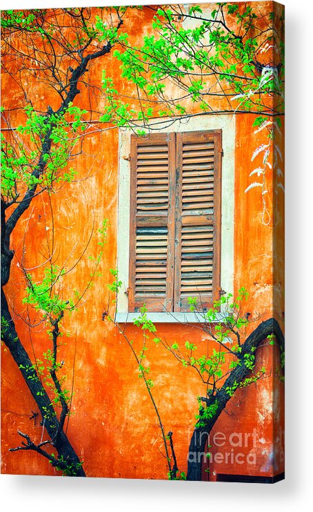 Architecture Acrylic Print featuring the photograph Window and tree by Silvia Ganora