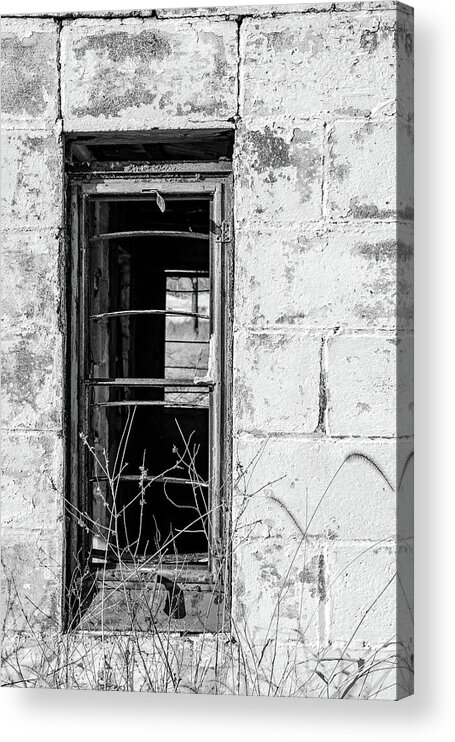 Black And White Acrylic Print featuring the photograph Through My Windows by Holly Ross