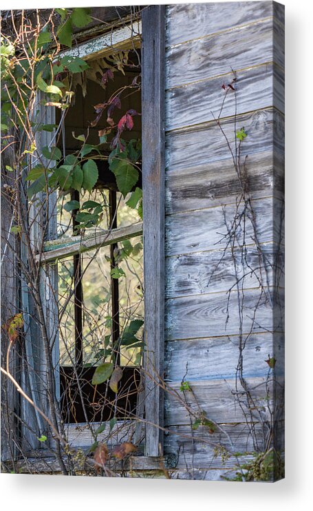 Abandoned Acrylic Print featuring the photograph Windows to the Past by Holly Ross