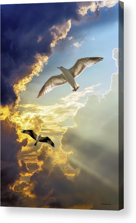 2d Acrylic Print featuring the photograph Wings Against The Storm by Brian Wallace