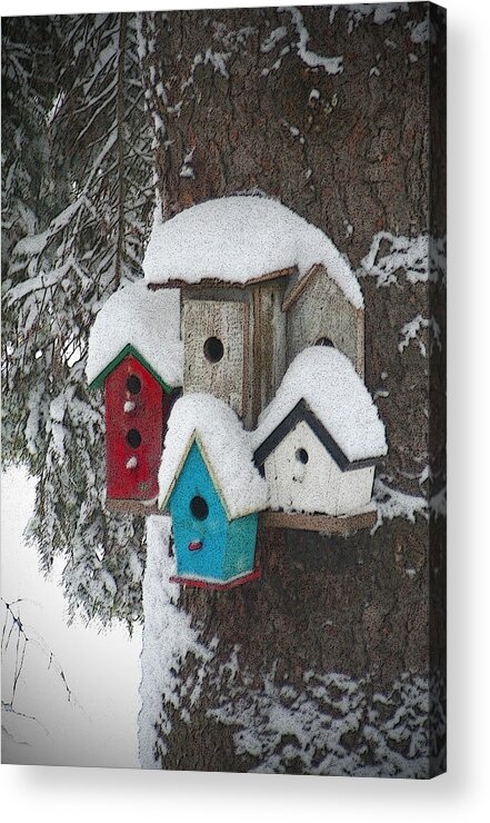 Winter Acrylic Print featuring the photograph Winter Birdhouses by Tim Nyberg