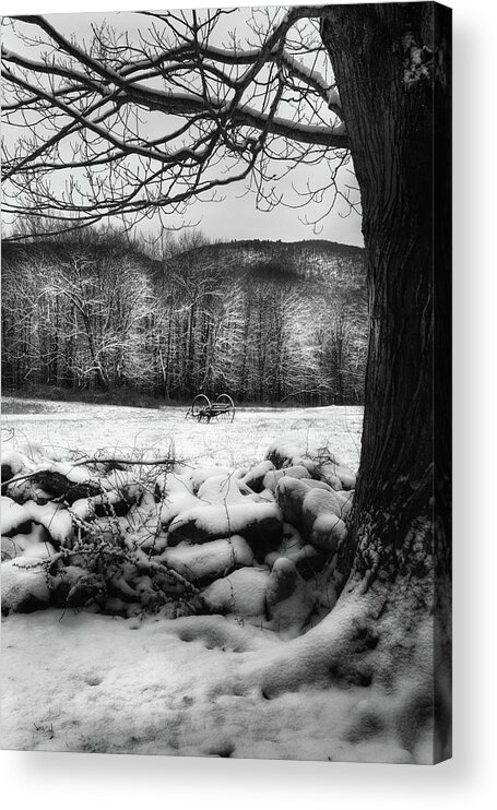 Stone Wall Acrylic Print featuring the photograph Winter Dreary by Bill Wakeley