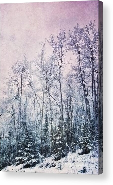 Forest Acrylic Print featuring the photograph Winter Forest by Priska Wettstein