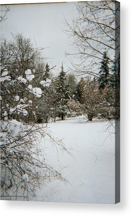 Snow Acrylic Print featuring the photograph Winter Silence by Valerie Josi
