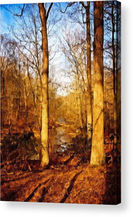 2016 Acrylic Print featuring the photograph Winter Solstice II by Kathi Isserman