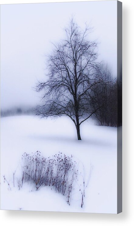 Vermont Acrylic Print featuring the photograph Winter by Tammy Wetzel