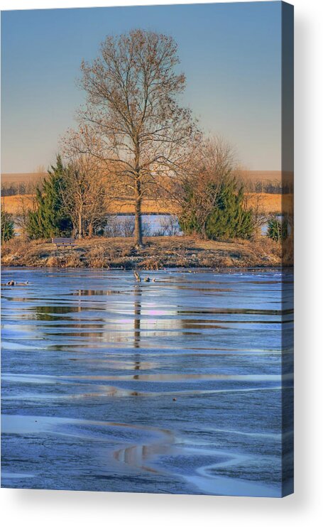 Lone Tree Acrylic Print featuring the photograph Winter Tree - Walnut Creek Lake by Nikolyn McDonald