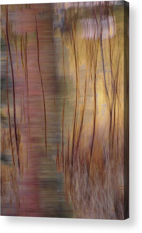 Abstract Acrylic Print featuring the photograph Winter Willows Abstract by Deborah Hughes
