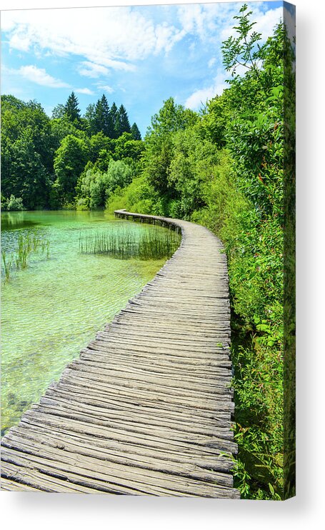 Green Acrylic Print featuring the photograph Wooden Path by Brandon Bourdages