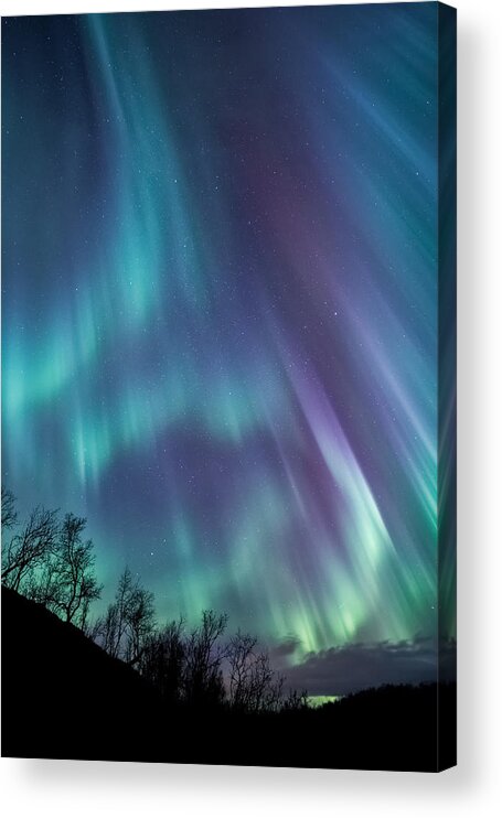 Worth Acrylic Print featuring the photograph Worth the wait by Tor-Ivar Naess