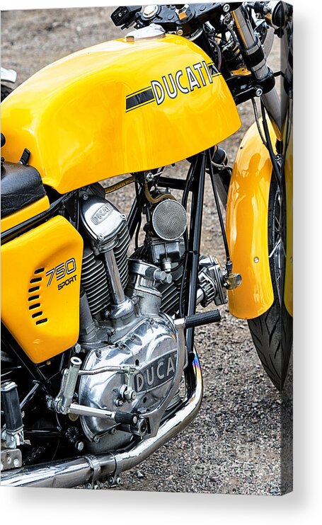 1974 Acrylic Print featuring the photograph Yellow Ducati by Tim Gainey