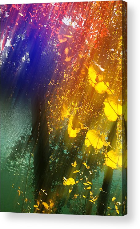 Yellow Leaves Acrylic Print featuring the photograph Yellow Leaf Along The Lake by Kathy Besthorn