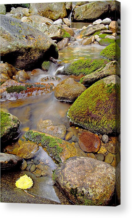 Stream Acrylic Print featuring the photograph Yellow Leaf Stair Falls Photo by Peter J Sucy