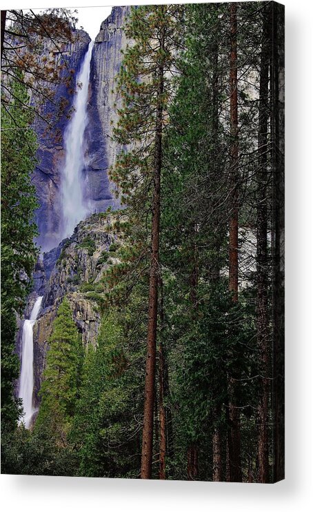 Yosemite Fallls Acrylic Print featuring the photograph Yosemite Falls C by Phyllis Spoor