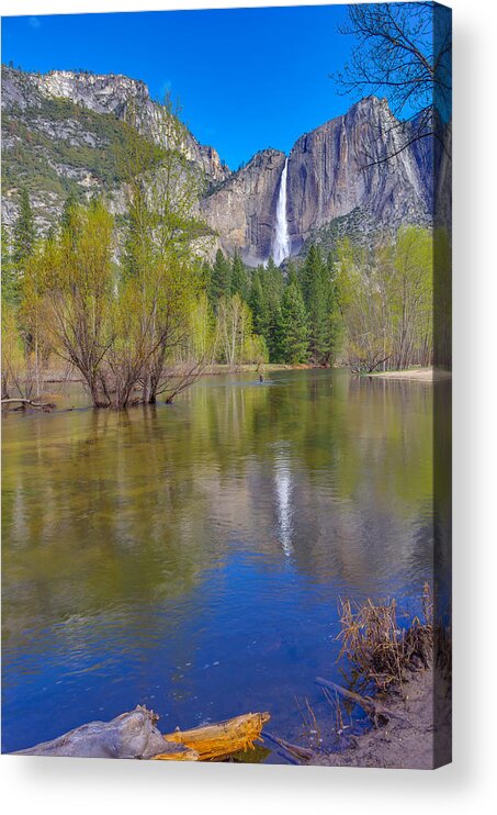 Blue Sky Acrylic Print featuring the photograph Yosemite Falls Cook's Meadow by Scott McGuire