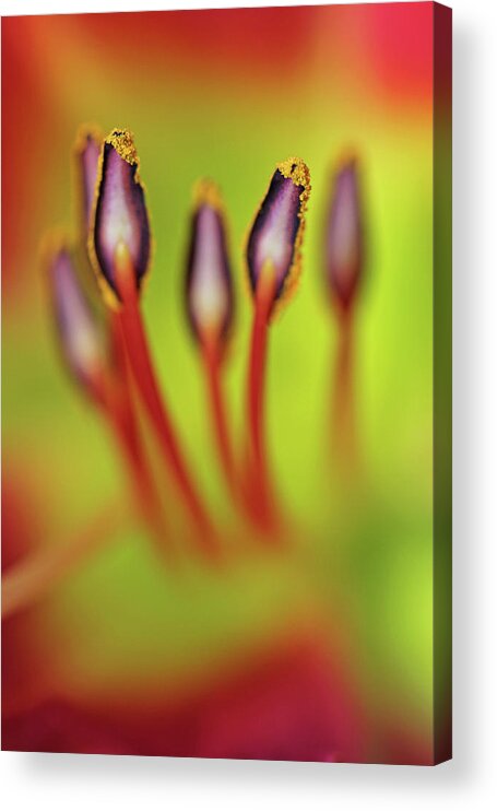 Abstract Acrylic Print featuring the photograph You Can Be My Luck by Juergen Roth