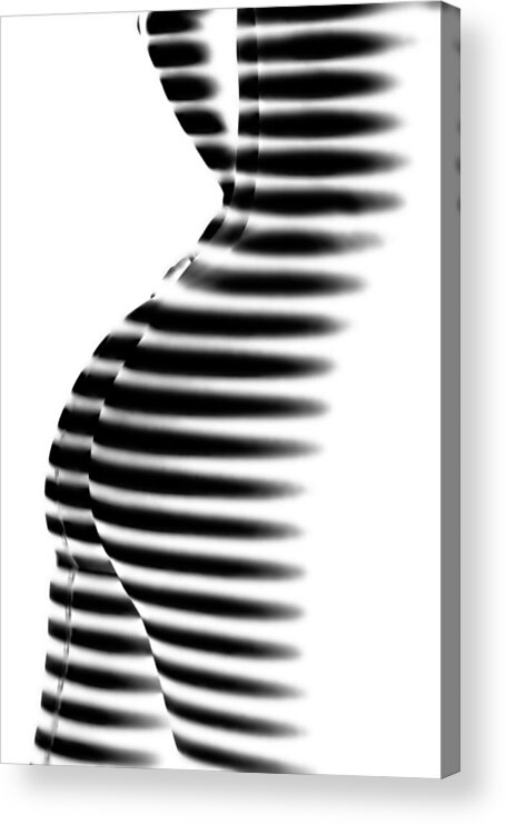 Fine Art Nude Acrylic Print featuring the photograph Zebra by Mato P.