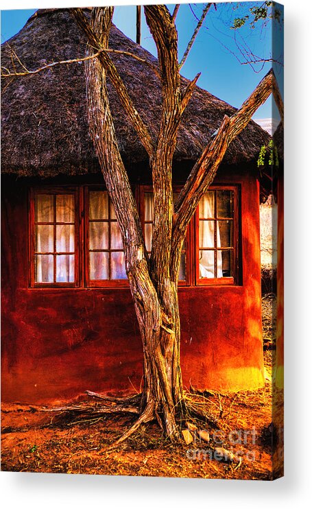 South Africa Zulu Reservation Acrylic Print featuring the photograph Zulu Hut by Rick Bragan