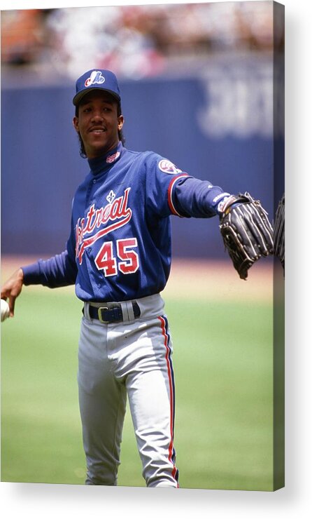 Pedro Martinez Montreal Expos Acrylic Print by Iconic Sports Gallery -  Pixels