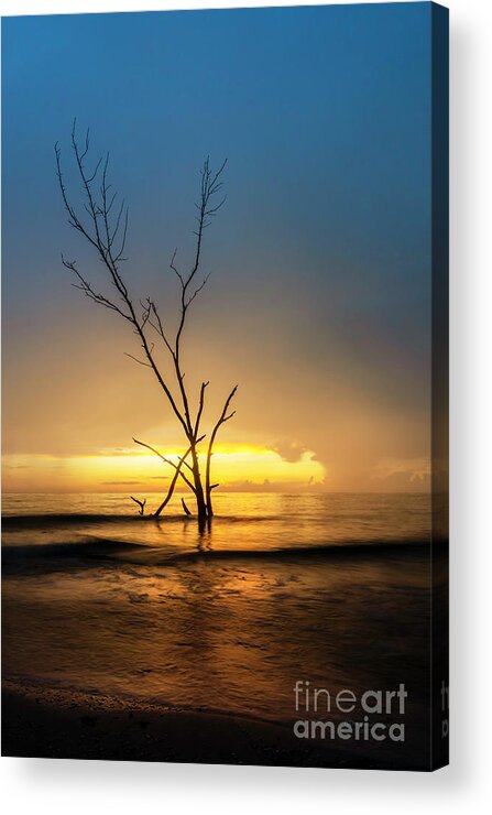 Dead Acrylic Print featuring the photograph Summer Tide #2 by Marvin Spates