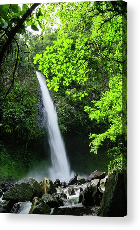 Tropical Rainforest Acrylic Print featuring the photograph Waterfall In A Tropical Rainforest #1 by Ogphoto