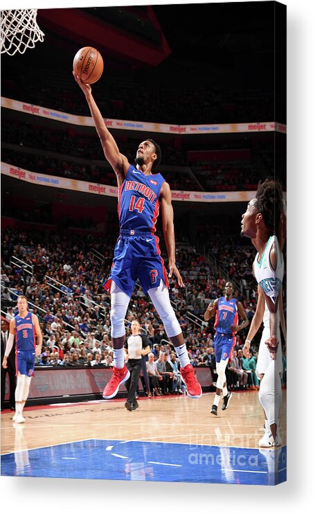Nba Pro Basketball Acrylic Print featuring the photograph Charlotte Hornets V Detroit Pistons by Chris Schwegler